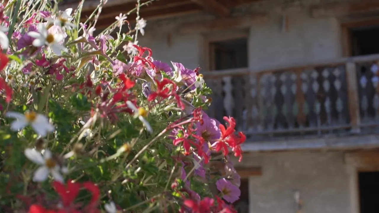 Chalet Violettes Villaroger Appartement